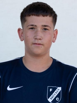 Avatar Bild für Collin Schweig