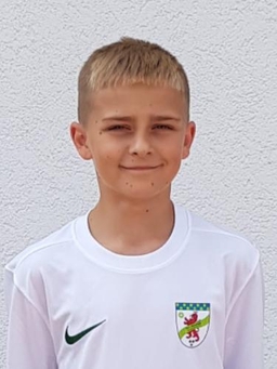 Avatar Bild für Mihael Dugobradic