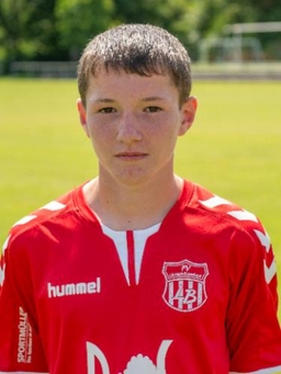 Avatar Bild für Linus Willi