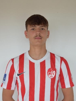 Avatar Bild für Niko Bodiroza