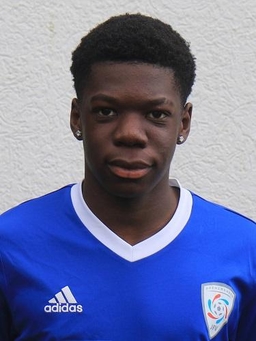 Avatar Bild für Nicodem Nianga
