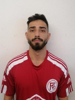 Avatar Bild für Mario Polyak