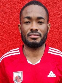 Avatar Bild für Michael Opoku Ameyaw