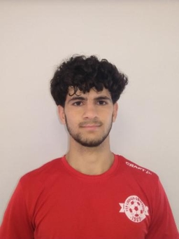 Avatar Bild für Hamed Arab