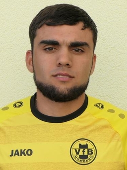 Avatar Bild für Illia Venhelaites