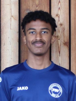 Avatar Bild für Nathan Ghebretensae