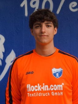 Avatar Bild für Matheo Werling