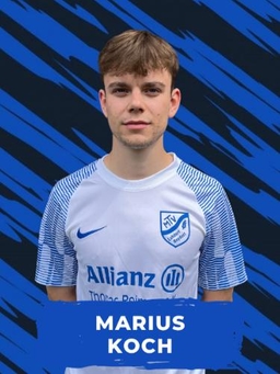 Avatar Bild für Marius Koch