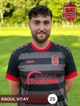 Avatar Bild für Raoul Vitay