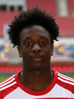 Avatar Bild für Joshua Chukwuka Nwafor