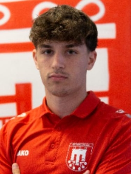 Avatar Bild für Tarik Hadzic