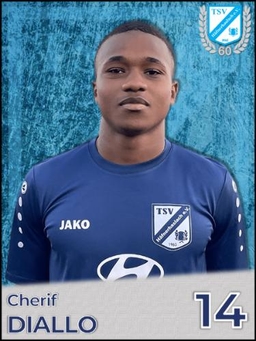 Avatar Bild für Mamadou Cherif Diallo