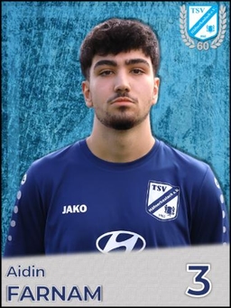 Avatar Bild für Aidin Farnam