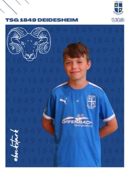 Avatar Bild für Ferdinand Schaupp