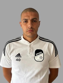 Avatar Bild für Nikolay Dobrev