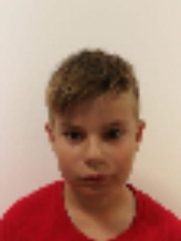 Avatar Bild für Oskar Radtke