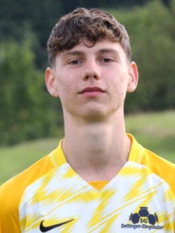 Avatar Bild für Arcangelo Semeraro