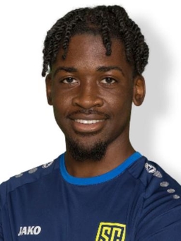 Avatar Bild für Johann Noubissi Noukumo