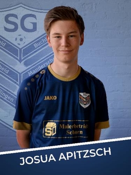 Avatar Bild für Josua Apitzsch