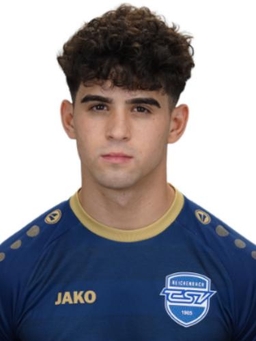 Avatar Bild für Sandor Belvari