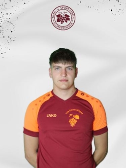 Avatar Bild für Niko Zimmer