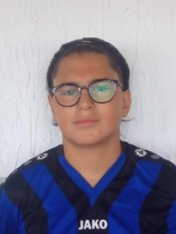 Avatar Bild für Yigit Dogruel
