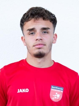 Avatar Bild für Donik Berisha