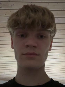 Avatar Bild für Marlon van Löchteren
