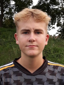 Avatar Bild für Max Medwedew