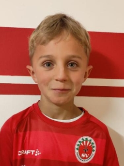 Avatar Bild für Niklas Streicher