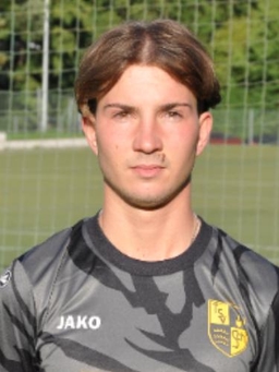 Avatar Bild für Noah Lion Schaal