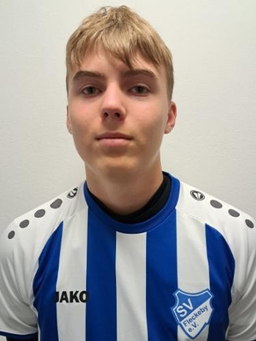 Avatar Bild für Niklas Dobelke