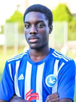 Avatar Bild für LaSean Junor Nii Adjei Wendt
