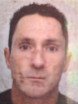 Avatar Bild für Dirk Zemke