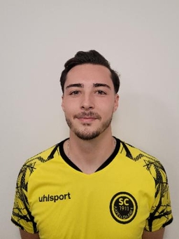 Avatar Bild für Dzenan Sinanovic