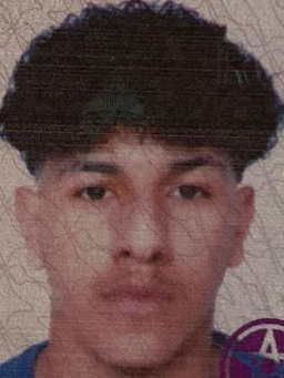 Avatar Bild für Yasser El Mers