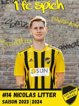 Avatar Bild für Nicolas Litter