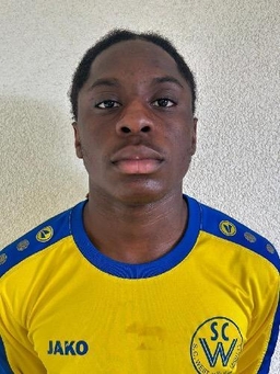 Avatar Bild für Rabie Ditombi