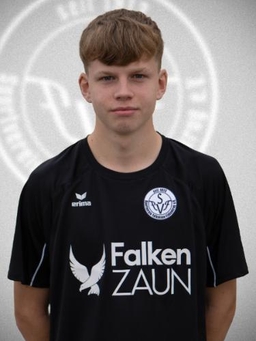 Avatar Bild für Louis Heinrich