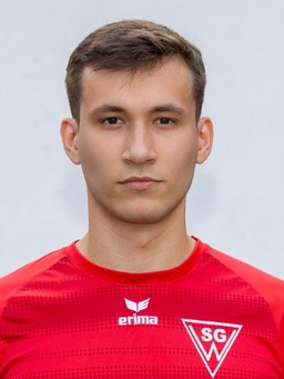 Avatar Bild für Mikhail Fomin