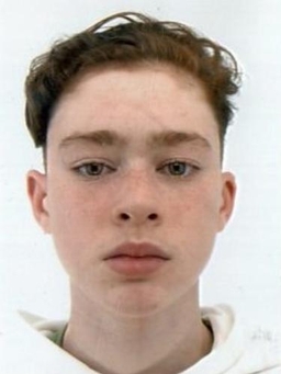 Avatar Bild für Ferdinant Musta