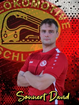 Avatar Bild für David Sonnert