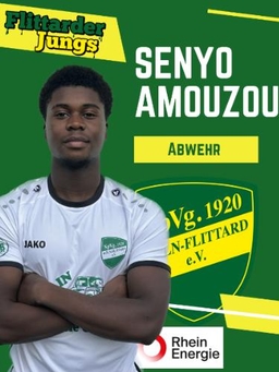 Avatar Bild für Senyo Amouzou-Glikpa