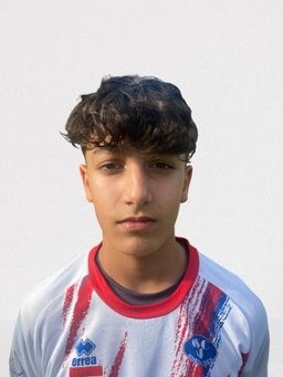 Avatar Bild für Ferhan Samsa