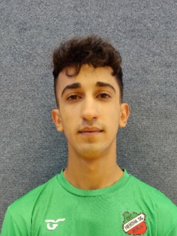Avatar Bild für Mehrdad Hsanzadeh