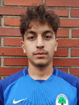 Avatar Bild für Sajad Ahmadi