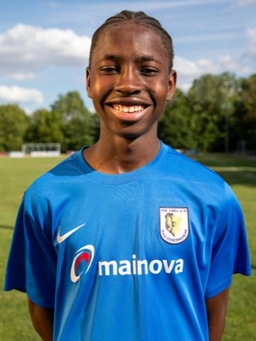 Avatar Bild für Ahmed Mutala Idrisu