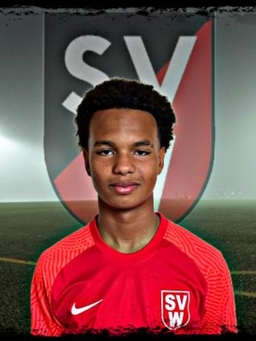Avatar Bild für Bernardo Cole Schimidt de Souza