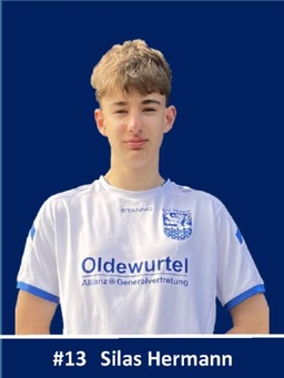 Avatar Bild für Silas Hermann