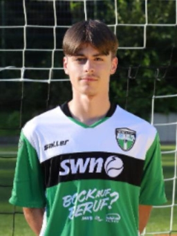 Avatar Bild für Pavle Trivic